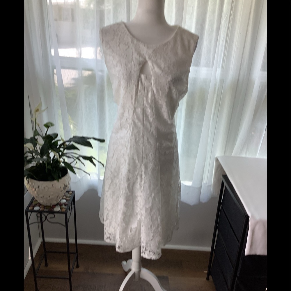 Gabby Skye plus size dress